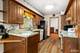 6S437 Hankes, Aurora, IL 60506