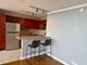 655 W Irving Park Unit 4406, Chicago, IL 60613