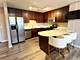1935 S Archer Unit 213, Chicago, IL 60616