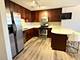 1935 S Archer Unit 213, Chicago, IL 60616