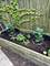 5401 S Maryland, Chicago, IL 60615