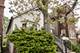 5326 W Van Buren, Chicago, IL 60644