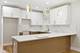 6333 S Maplewood, Chicago, IL 60629