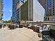 1000 N Lake Shore Unit 301, Chicago, IL 60611