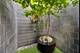 2050 W Huron, Chicago, IL 60612