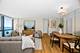 900 N Lake Shore Unit 1313-14, Chicago, IL 60611