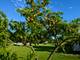5605 Cider Grove, Plainfield, IL 60586