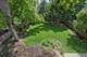 747 Park, River Forest, IL 60305