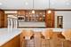 747 Park, River Forest, IL 60305