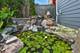 3721 W Wabansia, Chicago, IL 60647