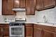 1451 W Harrison Unit 1, Chicago, IL 60607