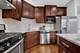 1451 W Harrison Unit 1, Chicago, IL 60607