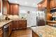 611 E Davis, Arlington Heights, IL 60005