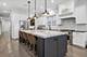 1734 N Artesian, Chicago, IL 60647