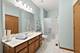 21312 W Douglas, Plainfield, IL 60544
