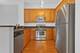647 Metropolitan Unit 508, Des Plaines, IL 60016