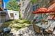 1538 W Fry, Chicago, IL 60642