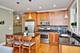 6024 N Damen Unit 2N, Chicago, IL 60659