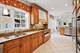 5873 N Forest Glen, Chicago, IL 60646