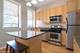 320 W Evergreen Unit 2N, Chicago, IL 60610