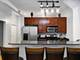1033 W 14th Unit 311, Chicago, IL 60608