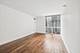 200 N Dearborn Unit 1007, Chicago, IL 60601