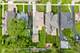 607 S Cedar, Elmhurst, IL 60126