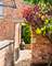 1212 Woodbine, Oak Park, IL 60302