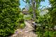 1212 Woodbine, Oak Park, IL 60302