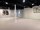 2404 Comstock, Naperville, IL 60564