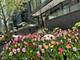 204 N Park, Chicago, IL 60601