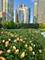 204 N Park, Chicago, IL 60601