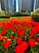 204 N Park, Chicago, IL 60601