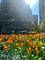 204 N Park, Chicago, IL 60601