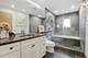 1250 S Federal Unit D, Chicago, IL 60605