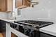 17 Franklin, River Forest, IL 60305