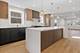 17 Franklin, River Forest, IL 60305