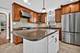 1754 N Neva, Chicago, IL 60707