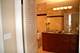 4250 N Marine Unit 1515, Chicago, IL 60613