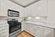 1111 S Wabash Unit 2501, Chicago, IL 60605