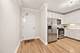 1111 S Wabash Unit 2501, Chicago, IL 60605