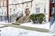 4529 S Vincennes, Chicago, IL 60653