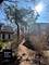 33993 N Treeline, Grayslake, IL 60030