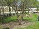 157 Louise Unit 157, Wood Dale, IL 60191