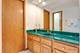 204 Linden, Prospect Heights, IL 60070