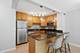 1255 N Sandburg Unit 206, Chicago, IL 60610