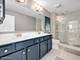 450 Bluff, La Grange, IL 60525