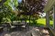 7 Willow Bay, South Barrington, IL 60010