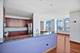 1600 S Prairie Unit 2102, Chicago, IL 60616