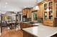 13N470 Chisholm, Elgin, IL 60124
